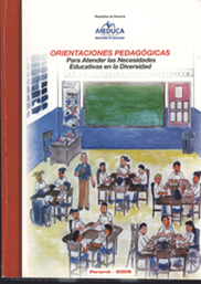 Dnee_Libro-orientaciones.png