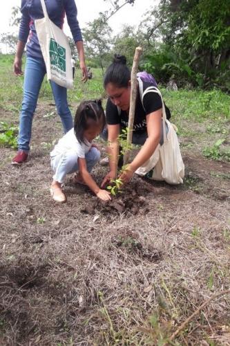 V Jornada de Reforestación en Panamá Este (3).jpg