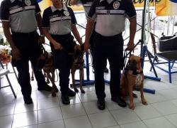 Unidad Canina de la Polícia, invitados especiales 