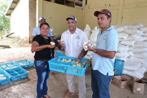 87 escuelas beneficiadas con la entrega de pollos de engorde.