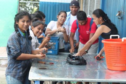 Cosecha de Tilapia en IPT Mexico Panamá