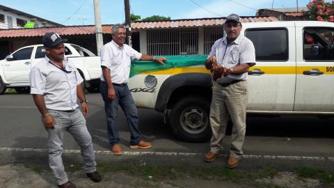 Producir alimentos saludables en Herrera