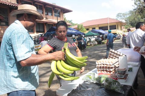 MEDUCA realiza feria agropecuaria navideña