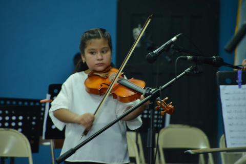 Crean primera residencia musical para instrumentos de cuerdas frotadas