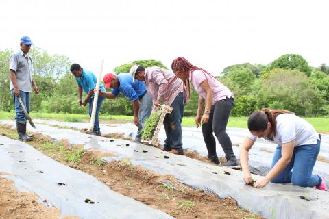 Alianza interinstitucional busca mejorar la nutrición de estudiantes en Los Santos