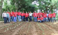 Meduca participa en voluntariado gubernamental de siembra de hortalizas