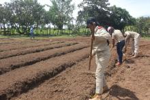 Estudiantes inician recorrido de la antorcha olímpica agropecuaria