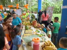 Celebran ‘Expo Frutas Chepo 2019’, en Las Minas