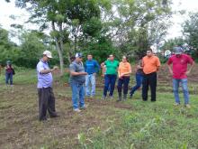 Capacitan a docentes en producción de maíz comercial y semilla