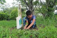 Desarrollan la V Jornada de Reforestación en Panamá Este